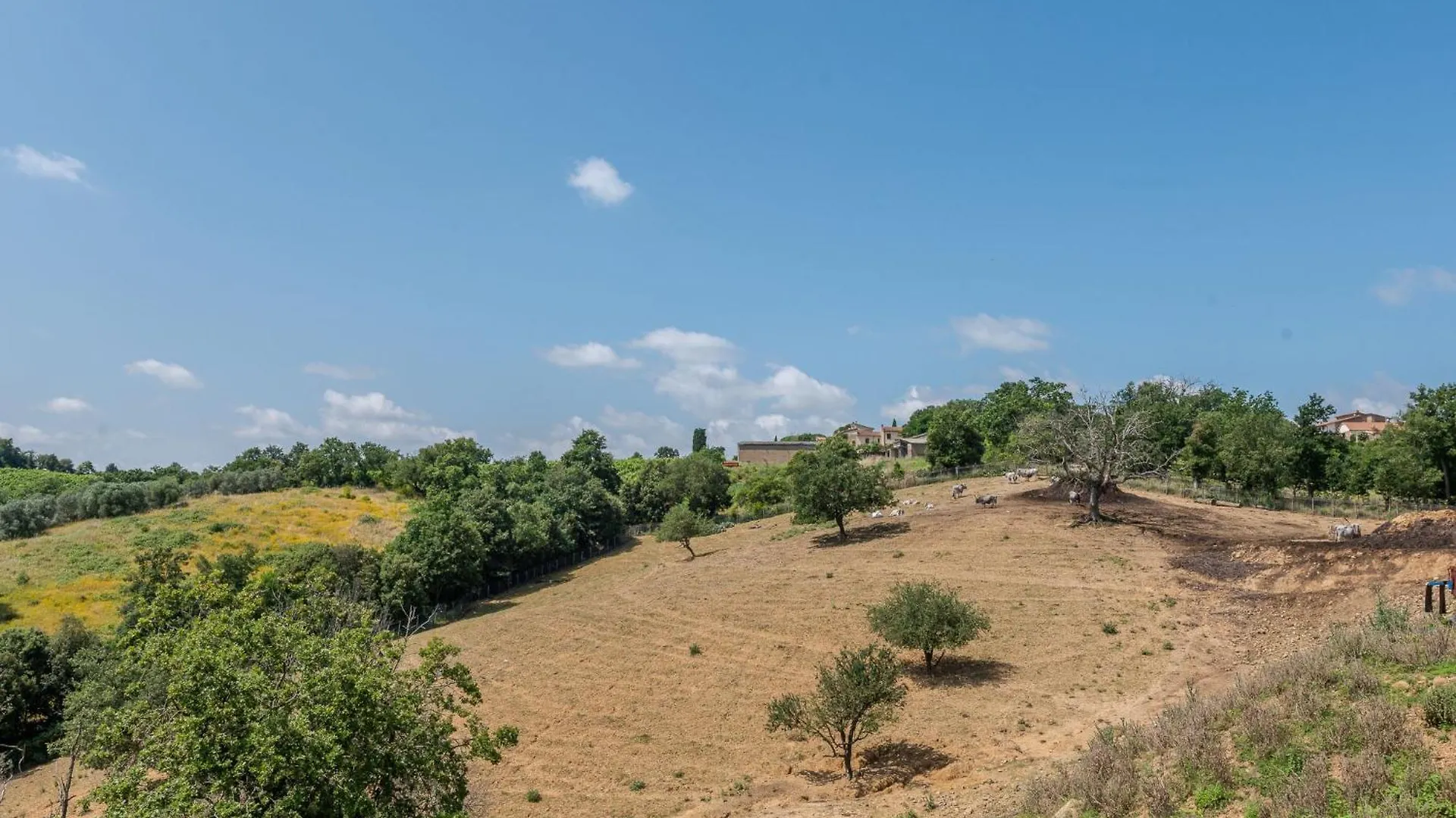 Holiday Home Carola By Interhome Cinigiano Italy